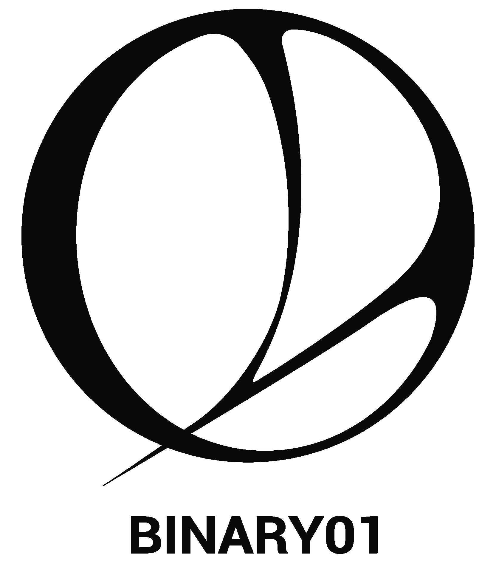 binary01